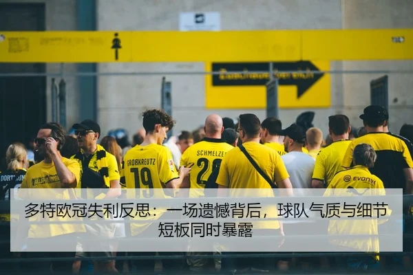 多特欧冠失利反思：一场遗憾背后，球队气质与细节短板同时暴露（Kaiyun）